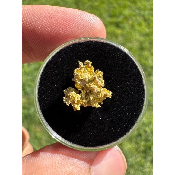 California Native Gold Crystal - 0.97 grams - Picture 7 of 7